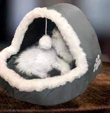 VERANDA Pet house – Grey SMALL for Kittens price in Pakistan