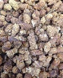 Shatoot Dry-500Gm price in Pakistan