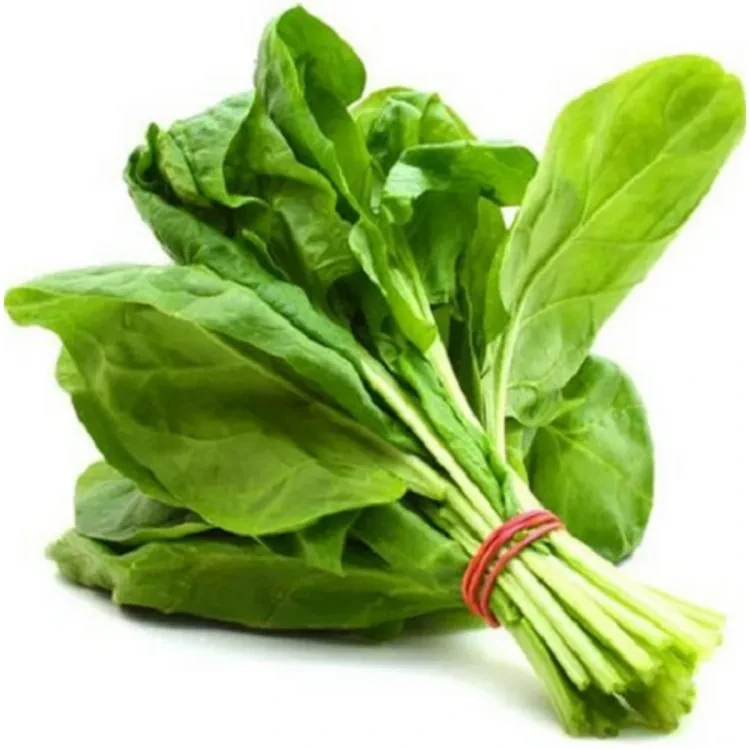 Spinach (Palak) 500g price in Pakistan