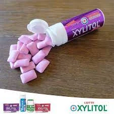 Pack of 4 XYLITOL Bluberi Mint, Fresh Mint, Nipis Mint, Stroberi Mint price in Pakistan