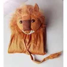Lion Costume for Children price in Pakistan