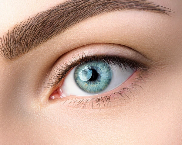 Light Blue Color Eye Contact Lenses soft + Free kit case and water  Fresh color Daily Use Lenses Best for girls & Boys price in Pakistan