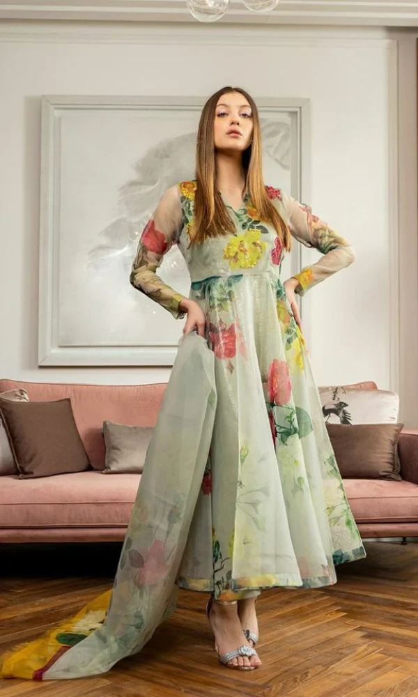 Lulusar – 2PC Frock Style Organza digital printed Dress price in Pakistan