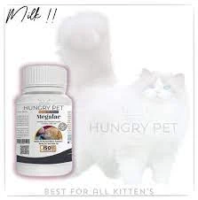 Kitten Milk Replacer – Megalac – 150 Grams price in Pakistan